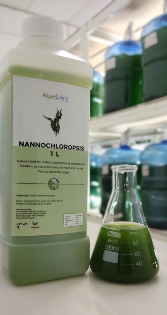 Algae Living Fresh Nannochloropsis Culture, 1L -Normal Packaging