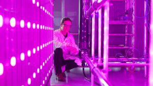 Food Start-ups Eye Algae as a Green Protein Source