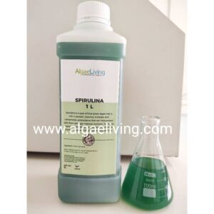 Algae Living Fresh Spirulina Culture 1L