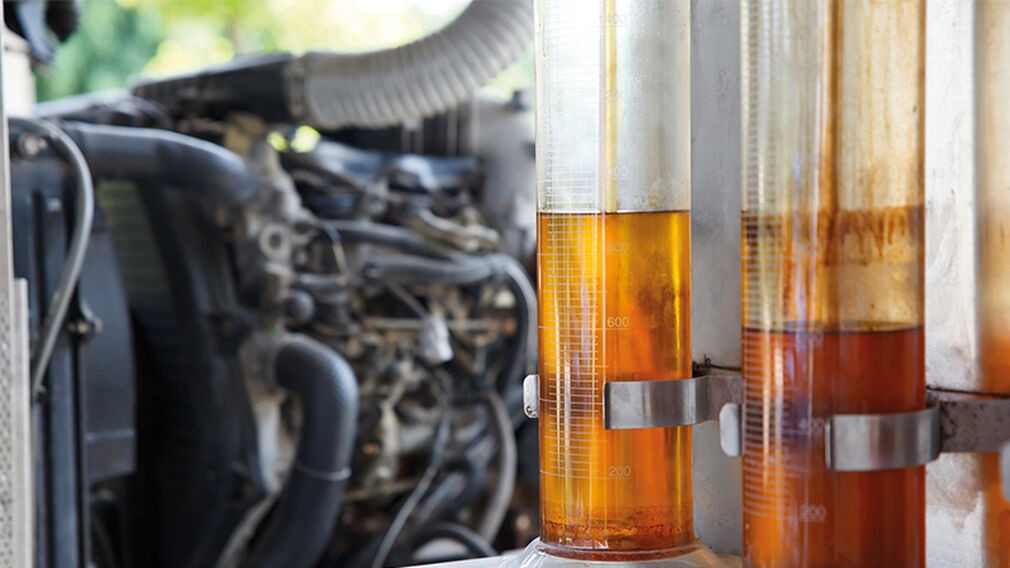 Microalgae Oil: A Sustainable Alternative to Palm Oil for Biodiesel Production