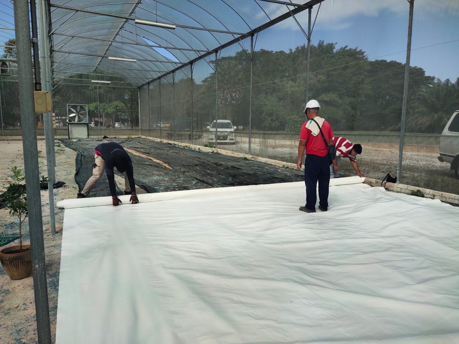 Greenhouse & HDPE Liner Installation