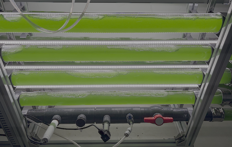 Tubular Photobioreactor (PBR) 1300L - Image 4