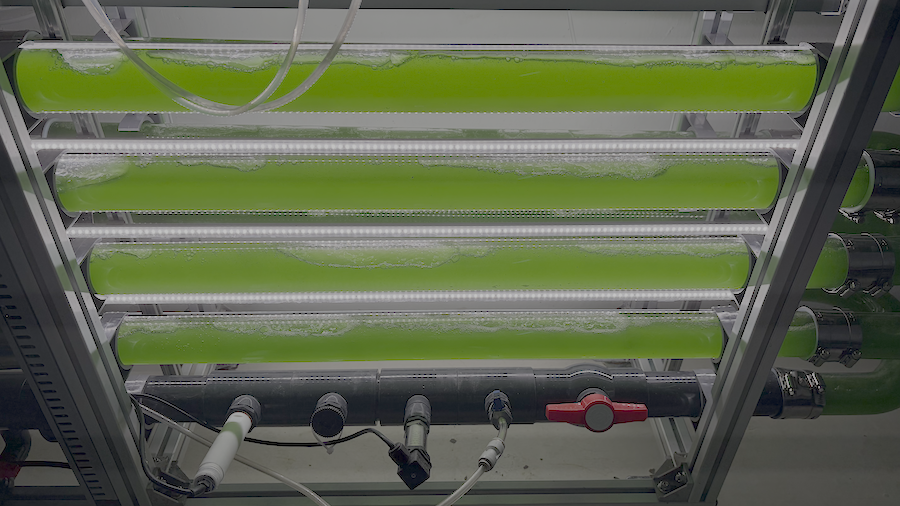 Tubular Photobioreactor (PBR) 5000L