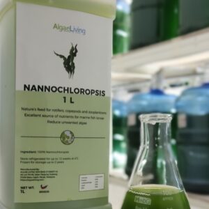 Algae Living Fresh Nannochloropsis, 1L -Chilled Packaging
