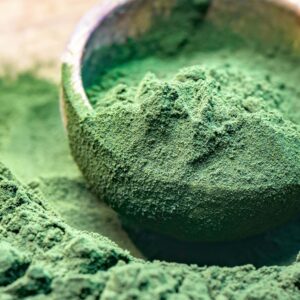 Algae Living Nannochloropsis Powder (Feed Grade)- 250g