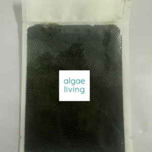 Algae Living Nannochloropsis Paste -500g