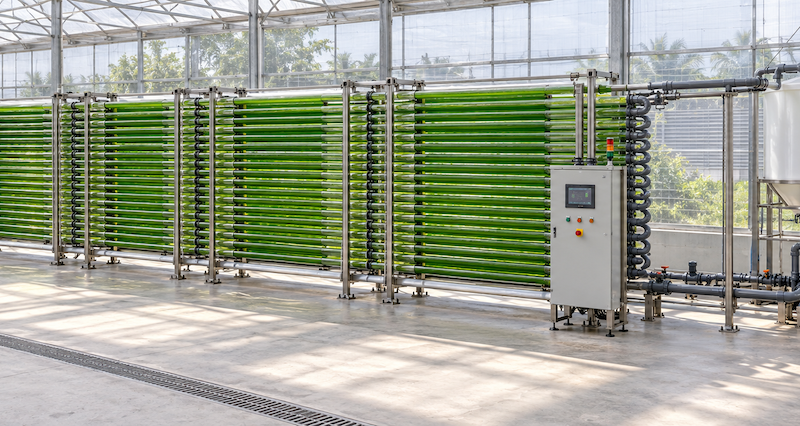 Tubular Photobioreactor (PBR) 1300L - Image 1