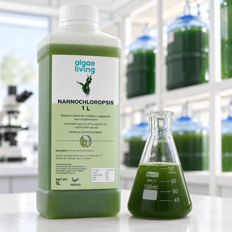 Fresh Nannochloropsis Culture - Image 1